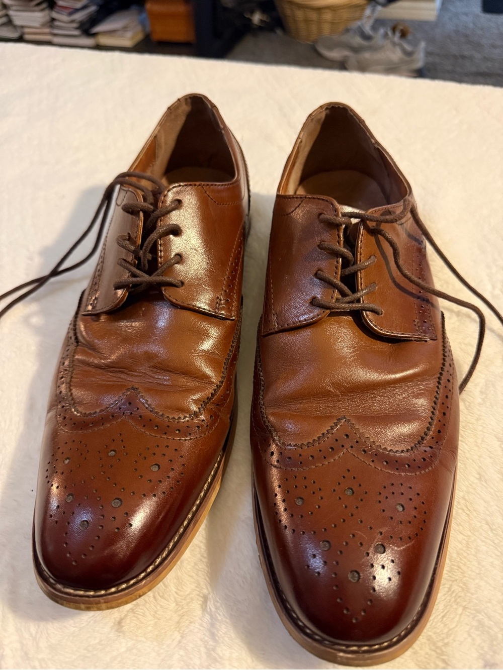 Stacy Adams Men's Brown Leather Wingtip Oxfords